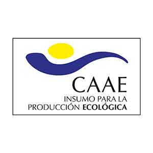 Caae